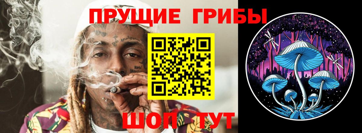 Урюпинск  Псилоцибиновые грибы MAGIC MUSHROOMS  Вход с VPN  Псилоцибиновые грибы MAGIC MUSHROOMS 